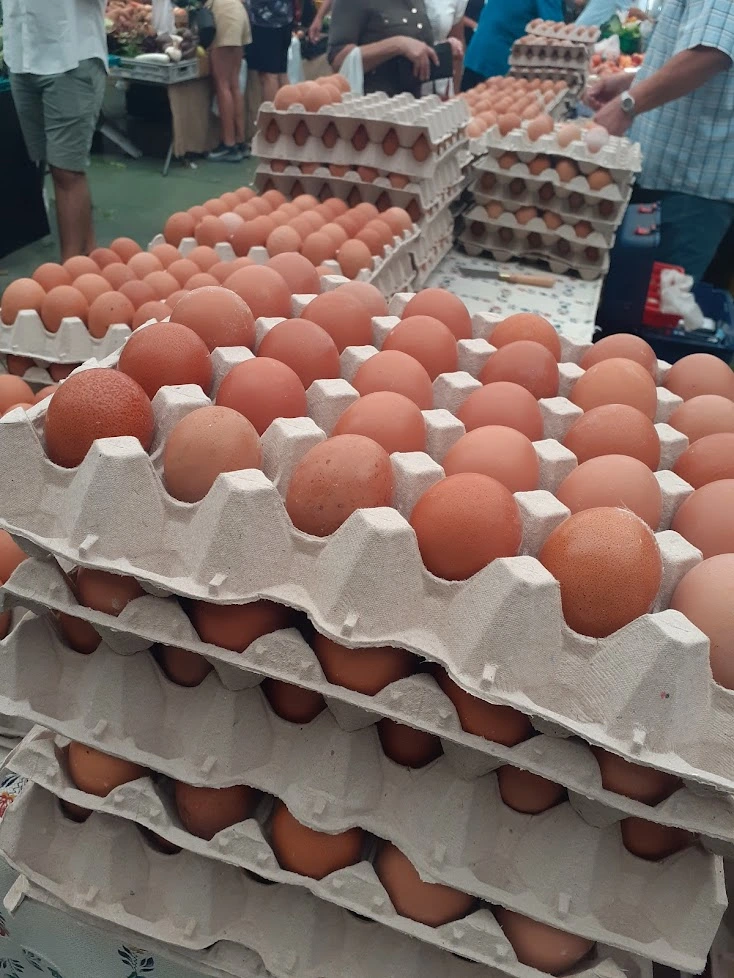 oeufs dans carton au marché